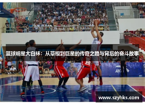 篮球明星大白袜：从草根到巨星的传奇之路与背后的奋斗故事